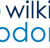 Wilkinson Orthodontics - Gold Coast Dentists
