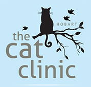 The Cat Clinic - Gold Coast Dentists