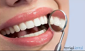 Terrigal Dental - Gold Coast Dentists 0