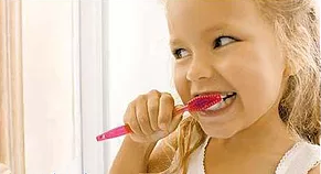 Terrigal Dental - Gold Coast Dentists 1