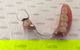 Complete Denture Solutions - thumb 4