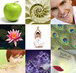 Lotus Dental - Holistic Dental Sydney - Gold Coast Dentists