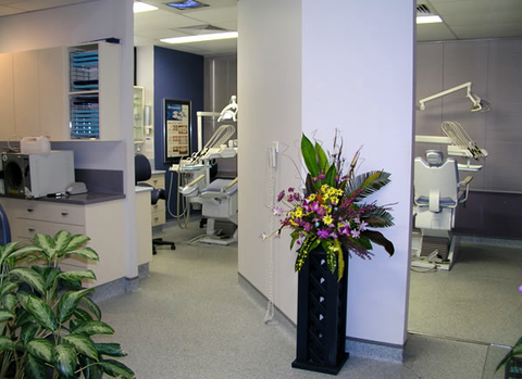 Absolute Dentistry Darwin - Gold Coast Dentists 1