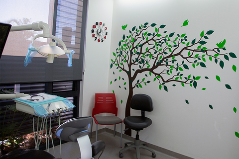 Tweed Dental Care - Gold Coast Dentists 3