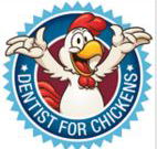 Dentists for chickens - Gold Coast Dentists