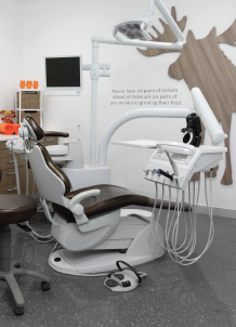 Orange Moose Dental - Gold Coast Dentists 2