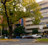 St Vincent's Dental Centre - Gold Coast Dentists