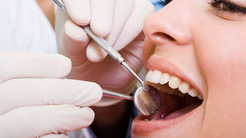Bligh Park Dental - Gold Coast Dentists 1