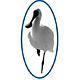 Pinjarra Dental Surgery - Gold Coast Dentists