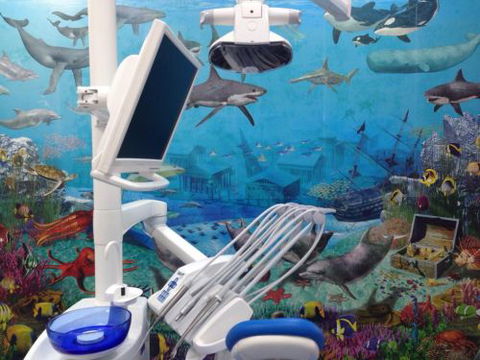 Blue Sky Dental Care - Gold Coast Dentists 5