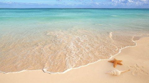 Golden Beach Dental - Gold Coast Dentists 0