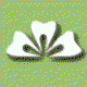 Soni Dental - Gold Coast Dentists 0